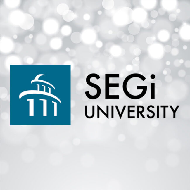 Segi University